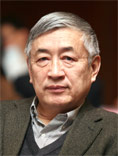 副秘书长