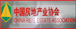 中国房地产业协会